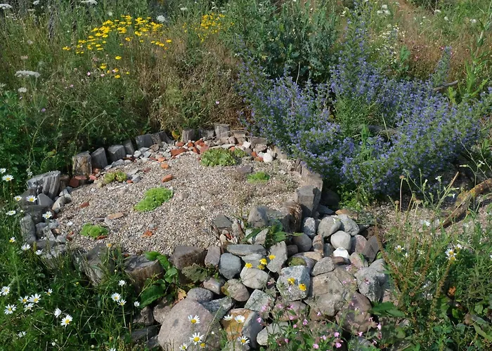 Appartement Hof Elsbusch - Nachhaltig Und Naturnah *